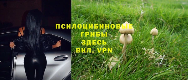 не бодяженный Бронницы